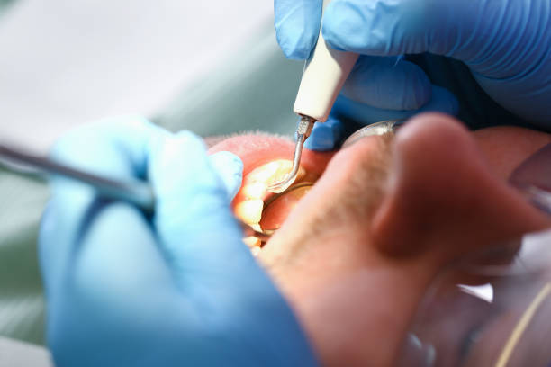 Best Emergency Dental Care for Trauma or Injury in Highlands, NJ